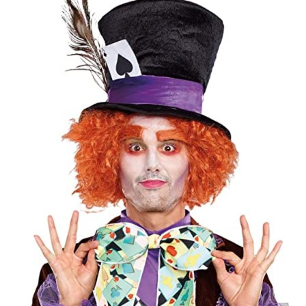 Men's Hatter Madness Costume